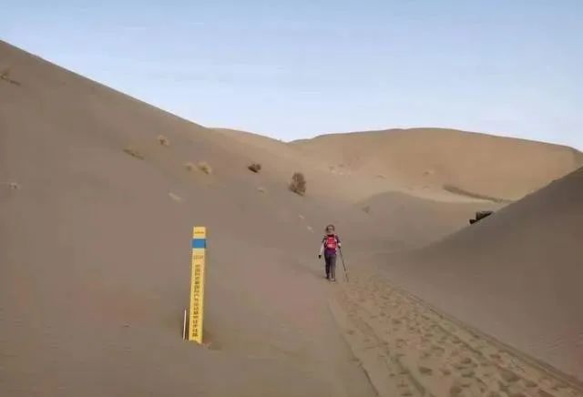 1683768739685991.jpg 10.jpg