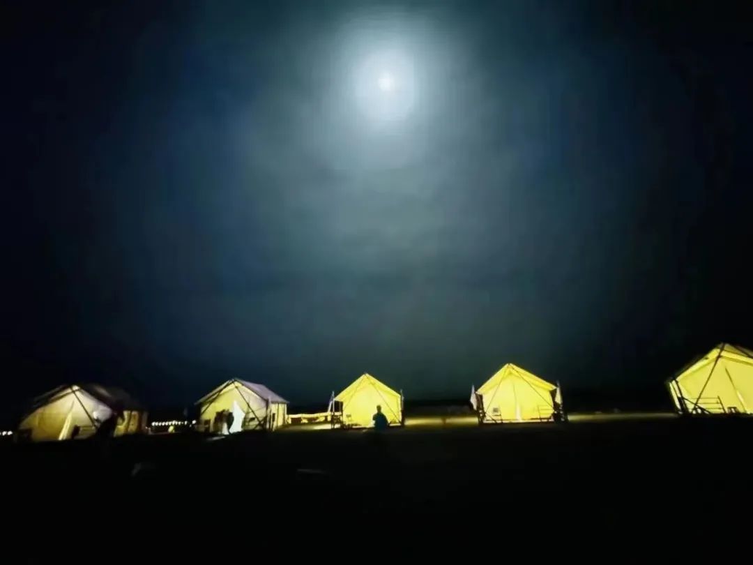 1683768856422752.jpg 12.jpg